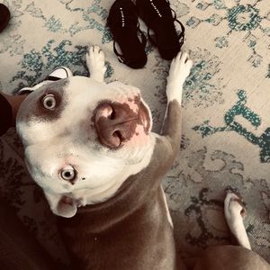 Meet your Posher, Luz